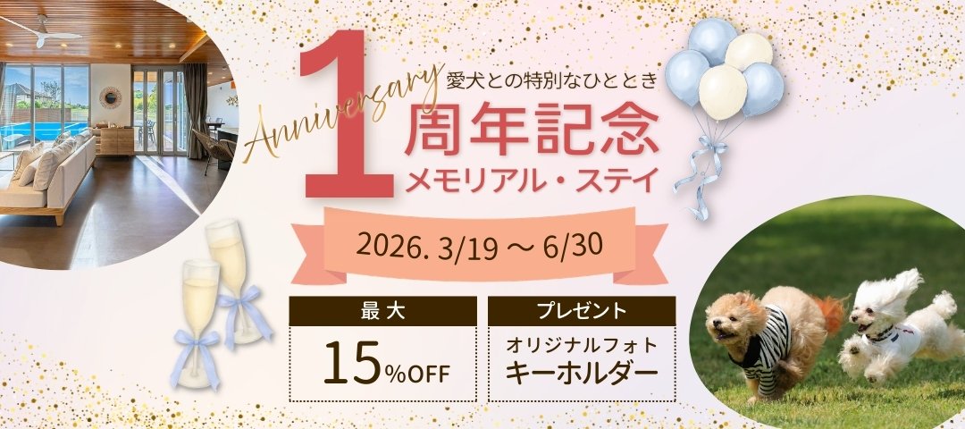 1周年記念プラン